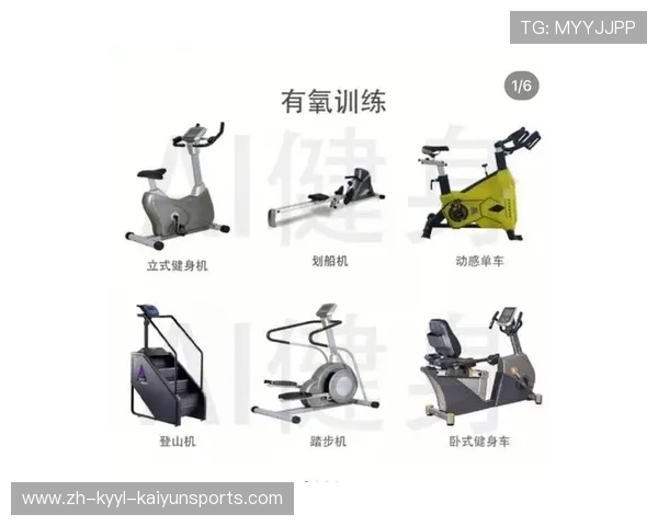 全部健身器材名称及图片展示详解指南